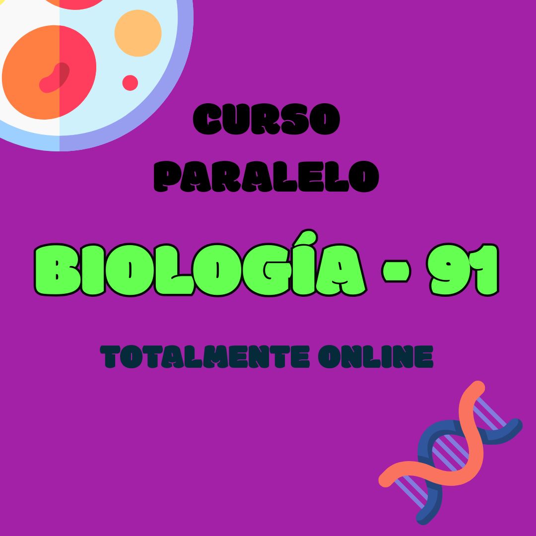 Curso 7